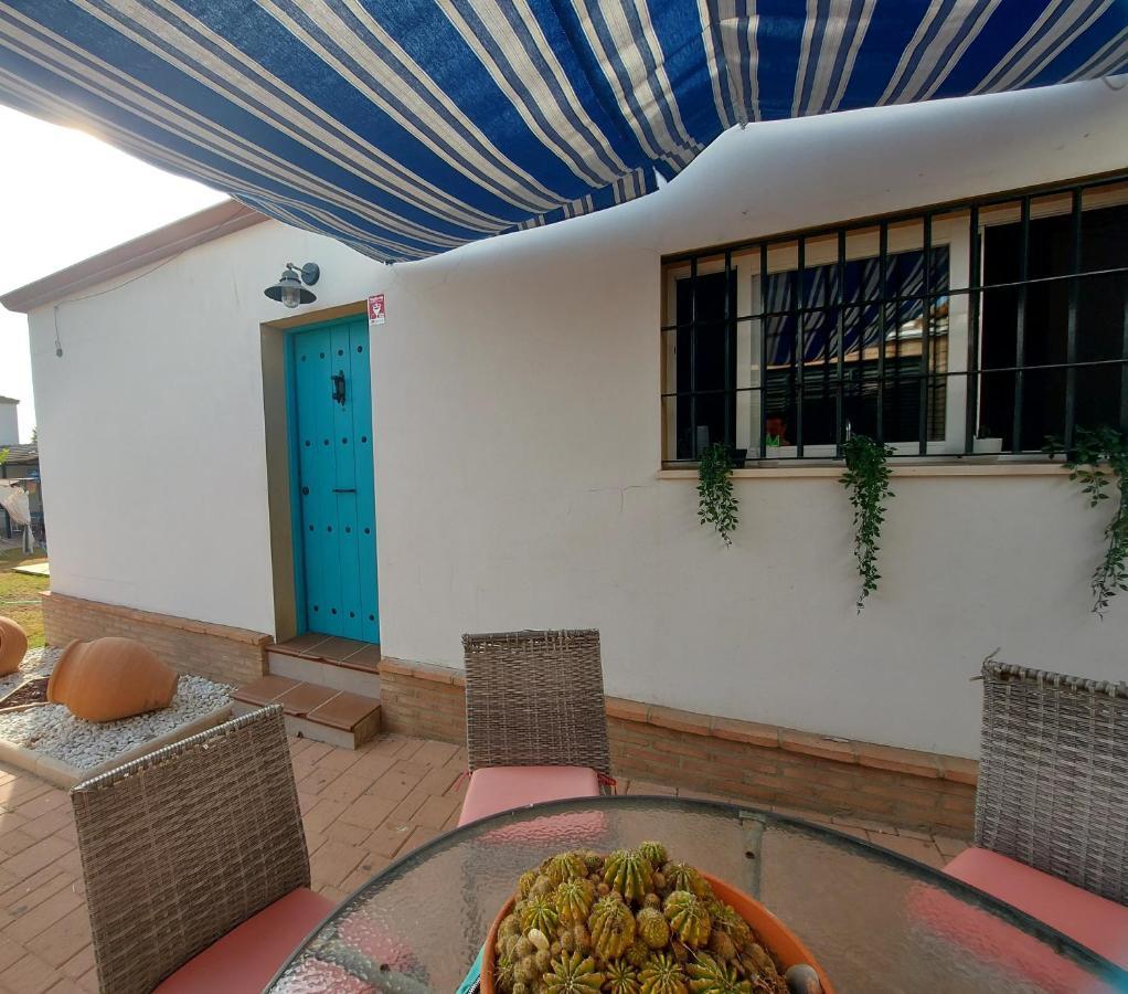 Valencina de la Concepción Casa Turquesaヴィラ エクステリア 写真